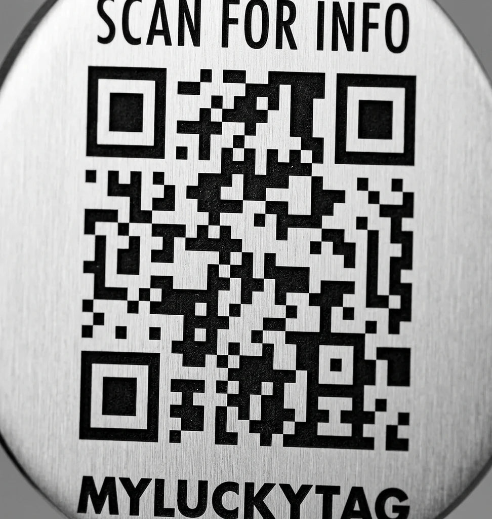 https://cdn.dropmagic.ai/medias/d892ddbc-5881-46dc-bd27-2e4c40478a08.webp